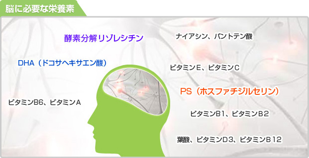 アルファベスト