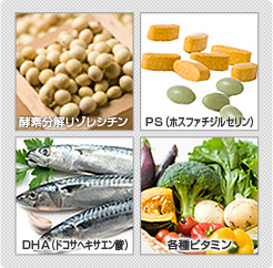 アルファベスト