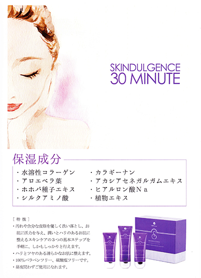 スキンダルジェンス30ミニッツ・システム